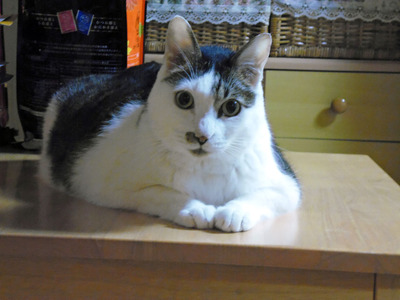 ニュース風お詫びと訂正①