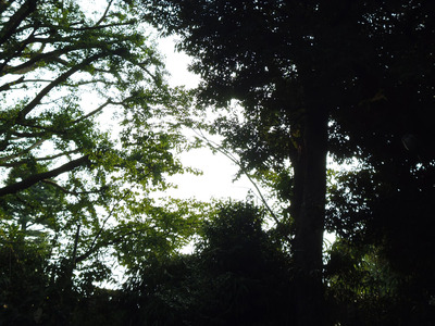 8/8の空②