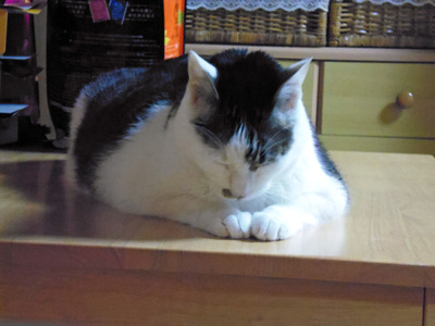 ニュース風お詫びと訂正②