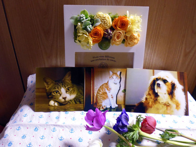 フォトフレーム②