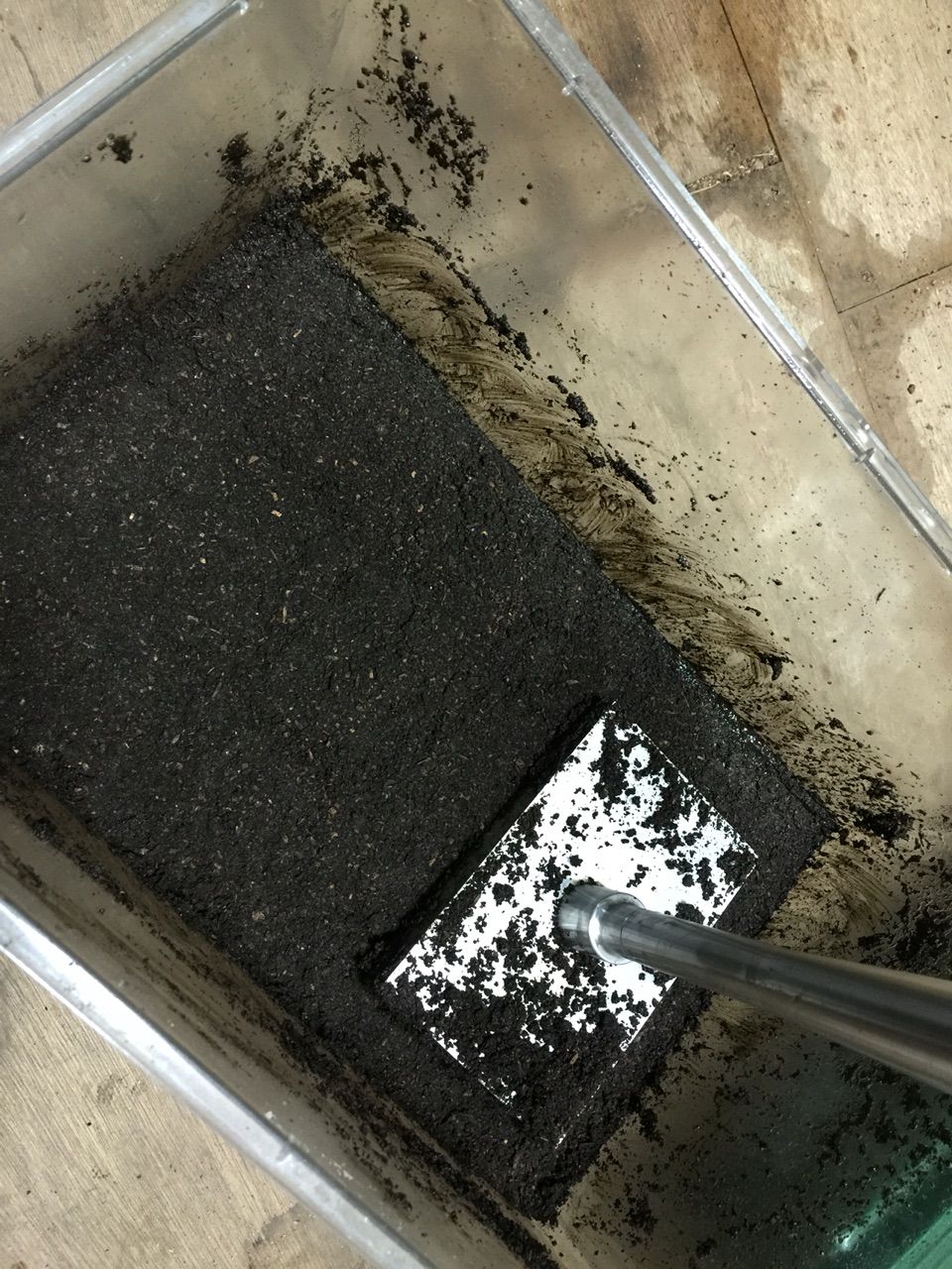 サタンオオカブト産卵セット Sukoburi サタンオオカブト産卵セット Sukoburi