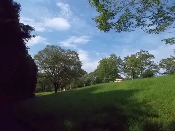 190829Walk22�����ڱ������