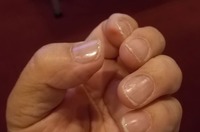 190828�����Υͥ��륫�顼���θ�