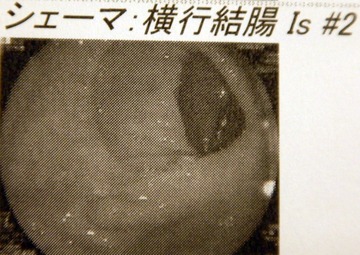 230131��������±�����ѿ���