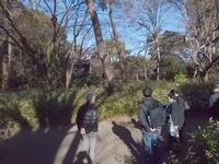 190118自由学園森の径
