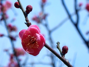 230202WALK��¦�����߳���