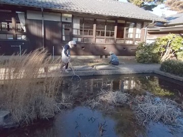 190118自由学園池の清掃芝管理