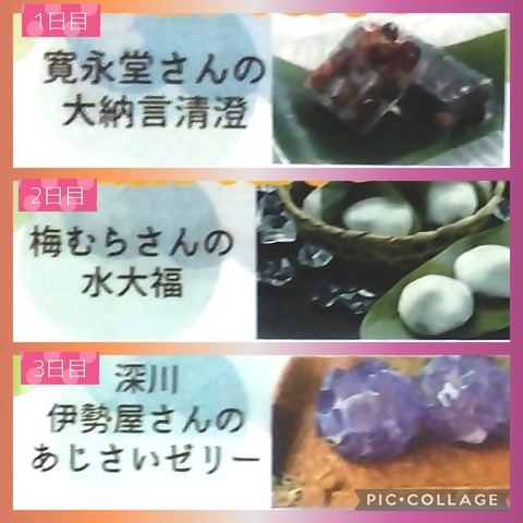 Collage_2024-06-09_09_41_34