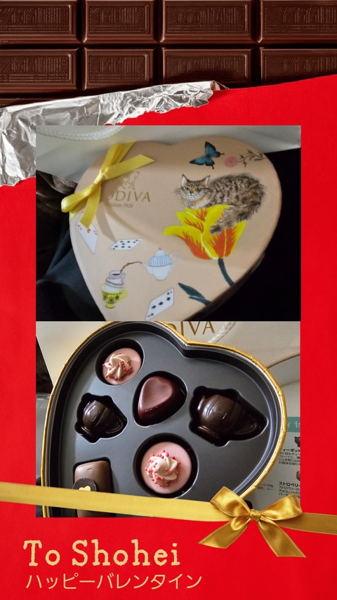 スタッフブログ８