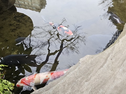 スタッフブログ7