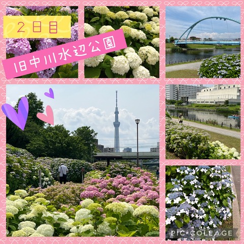 Collage_2024-06-08_00_32_10