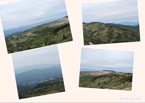 Collage 2024-06-19 11_43_46