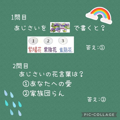 Collage_2024-06-09_08_03_38