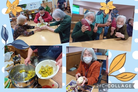 Collage_2025-11-15_09_17_37