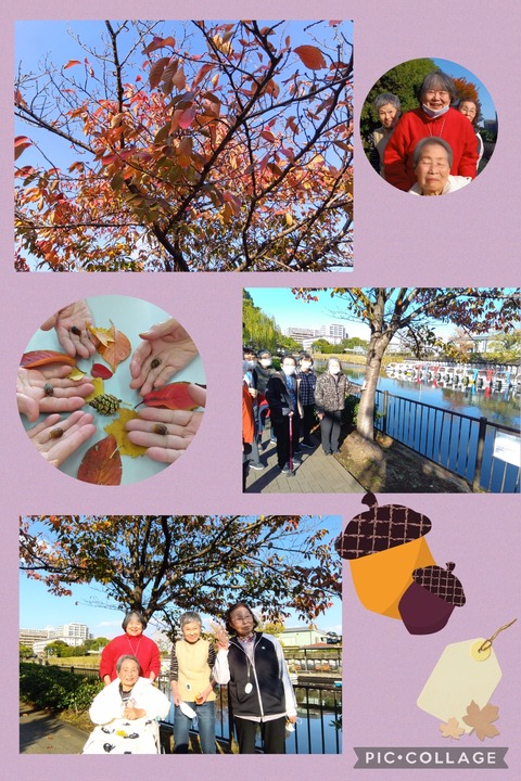 Collage_2025-11-25_14_57_32