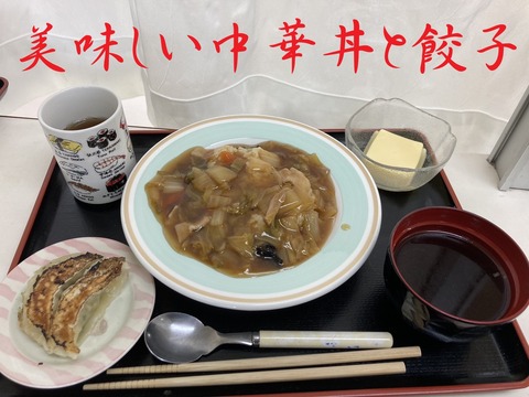 美味しい中華丼と餃子