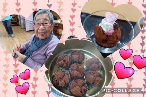 Collage_2026-02-13_15_47_04