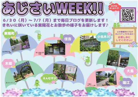 あじさいWEEブログ用