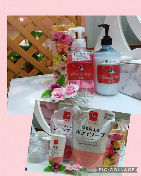 Collage_2025-11-01_14_36_43