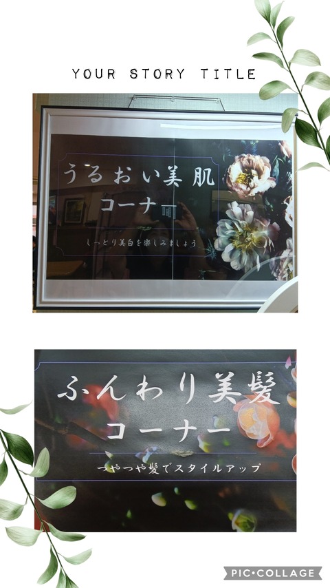 Collage_2025-11-01_18_29_58