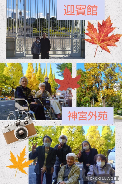 Collage_2025-11-10_09_21_27