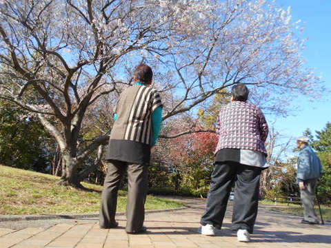 DSCN5020