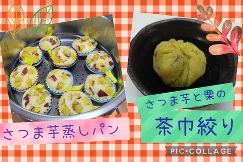 Collage_2025-11-15_08_51_05