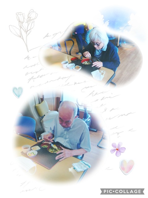 Collage_2025-07-17_13_57_25