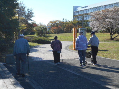 DSCN5016