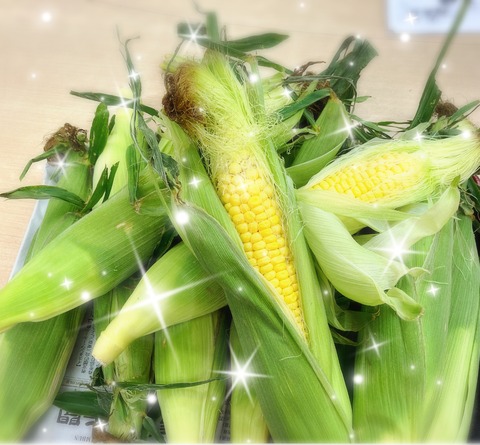 23-07-21-15-36-31-578_deco