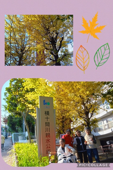 Collage_2025-11-25_14_58_51