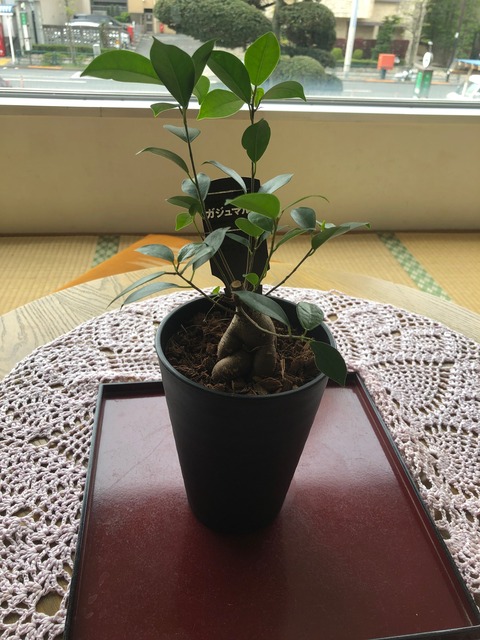 image0