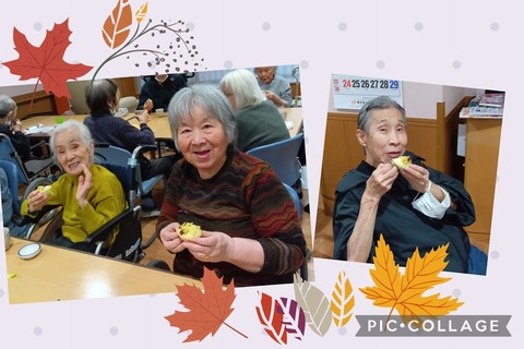 Collage_2025-11-15_09_06_47