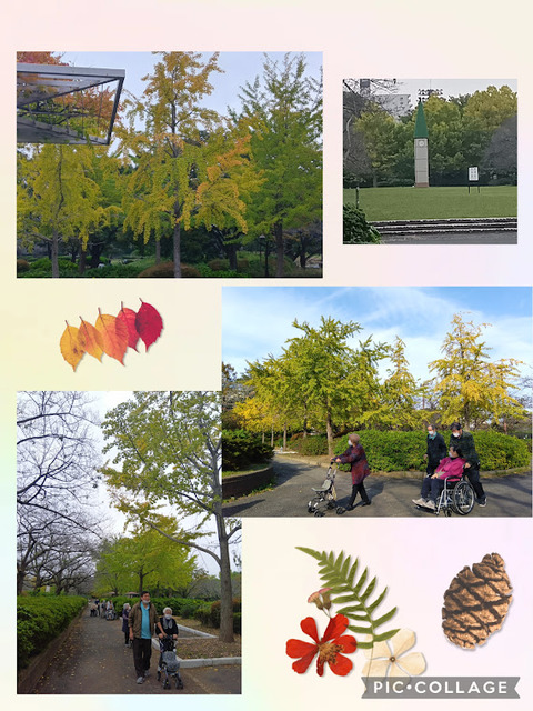 Collage_2025-11-26_09_18_47