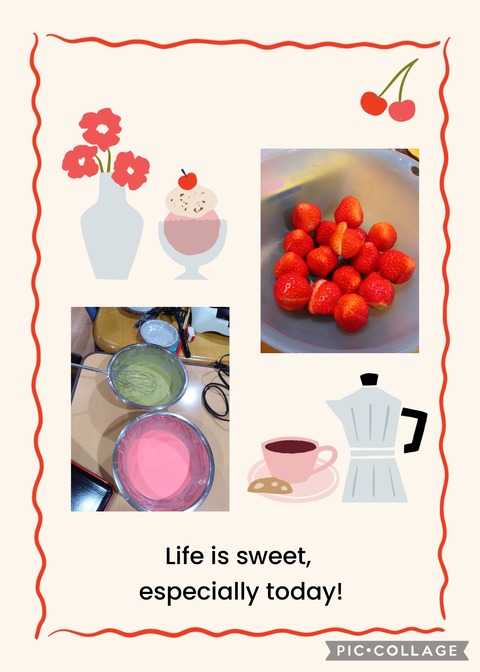 Collage_2026-03-06_16_30_19