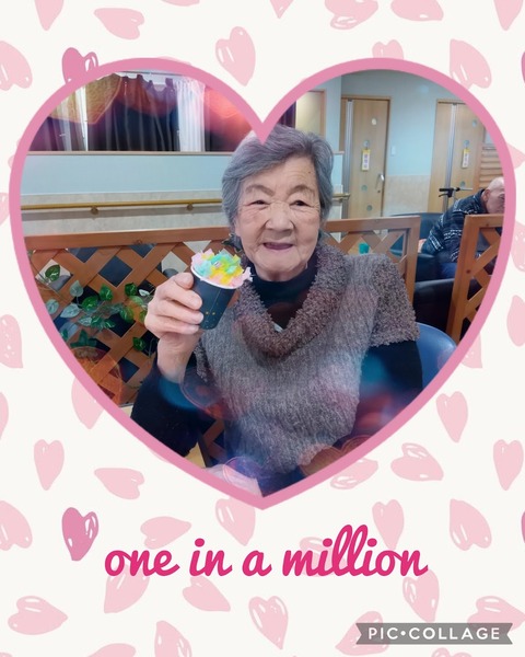 Collage_2026-03-11_13_46_41