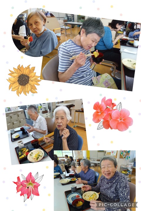 Collage_2025-07-26_14_35_07