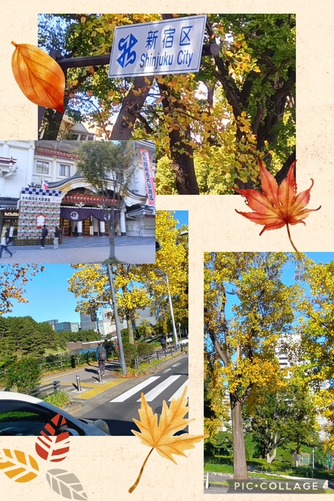 Collage_2025-11-10_09_11_23