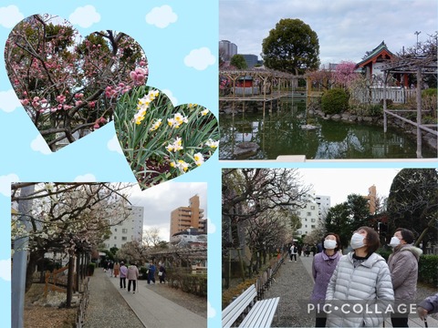 Collage_2026-02-18_10_53_20