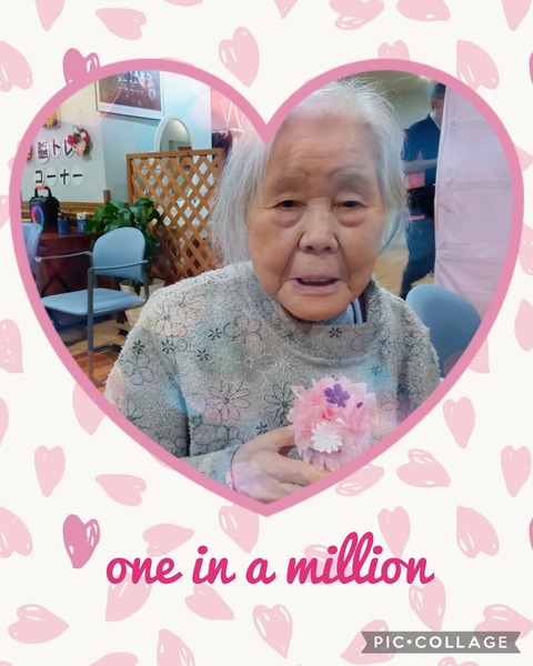 Collage_2026-03-11_13_50_57