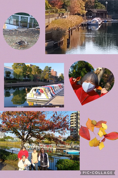 Collage_2025-11-25_14_58_24