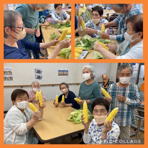 Collage_2023-07-21_15_41_47