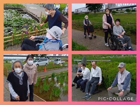 Collage_2024-05-28_08_28_52