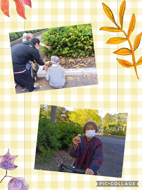 Collage_2025-11-27_08_19_44