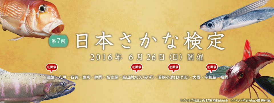 6月29日開催.日本さかな検定 (2016.06.21) : すくもちゃん新聞 （高知 
