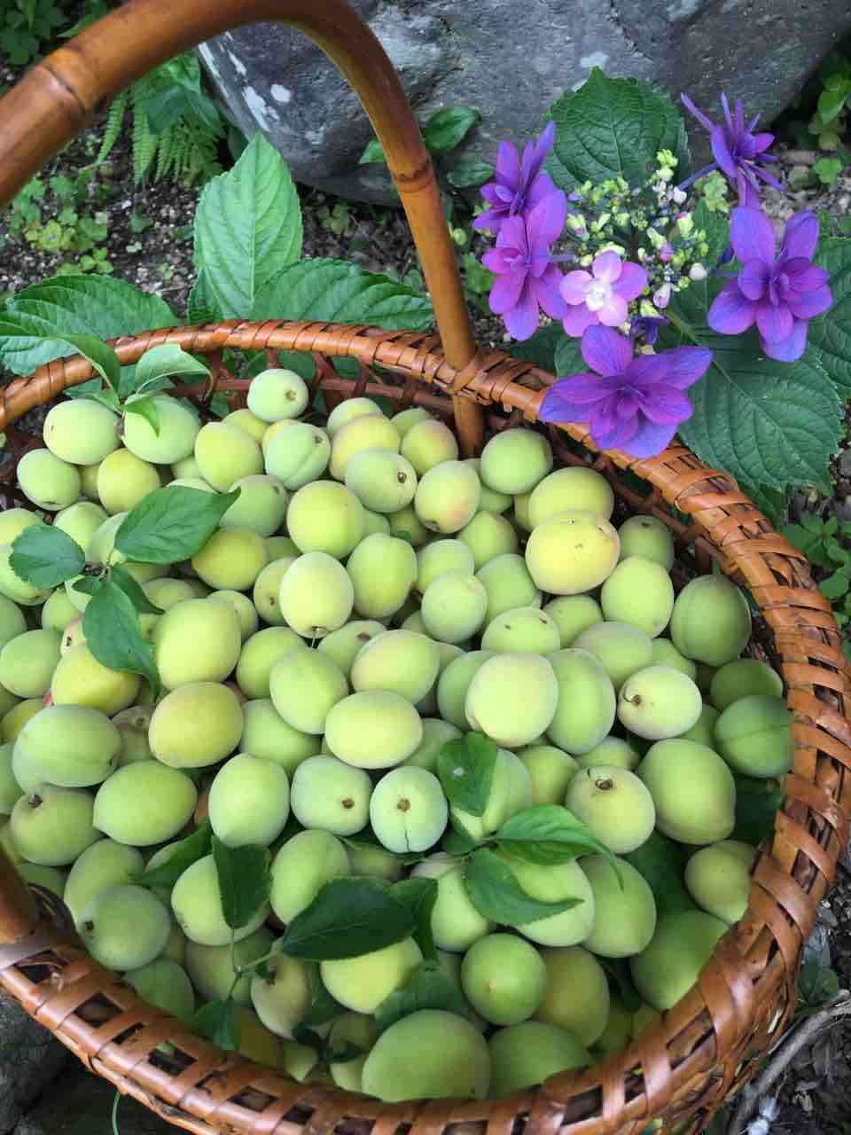 【たかこ】モビール6点 ❤︎鶴/富士山/梅/松❤︎クジラ❤︎お月見❤︎カモメ❤︎ 他 漫画 - Search / X