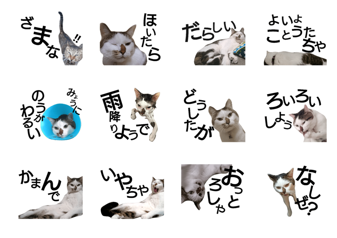 発見 幡多弁なめねこ Lineでええ味だしちょう すくもちゃん新聞 高知県 宿毛市