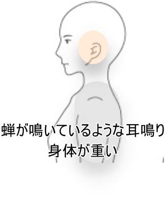 耳鳴り