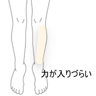 すね