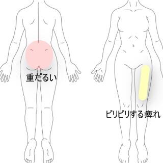 腰・下肢